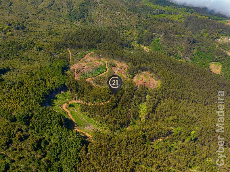 Terreno Outros para Venda Santo António da Serra, Centro
