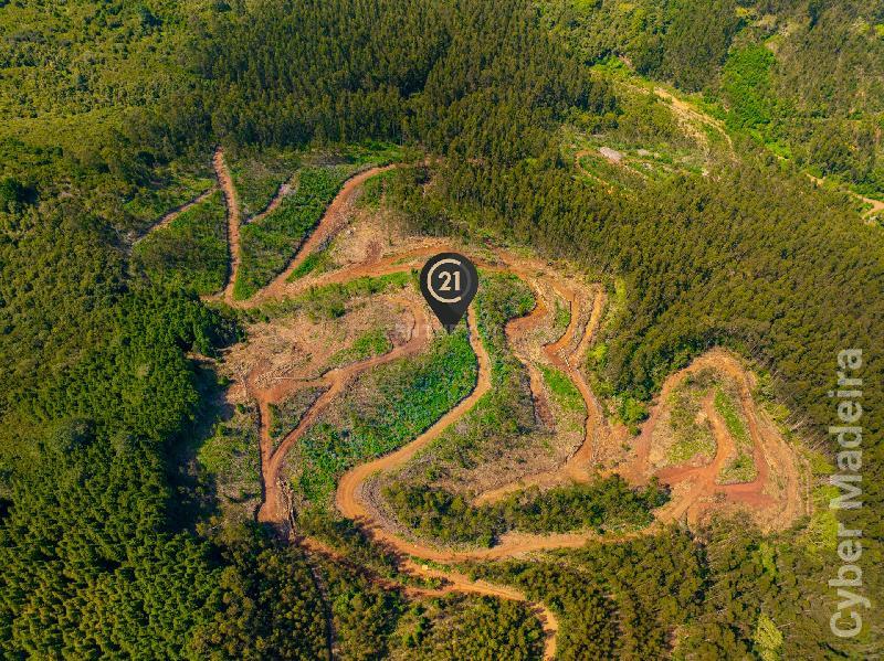 Terreno Outros para Venda Santo António da Serra, Centro