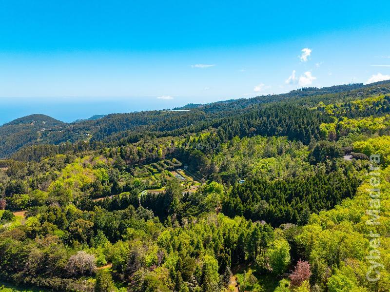 Terreno Outros para Venda Santo António da Serra, Centro