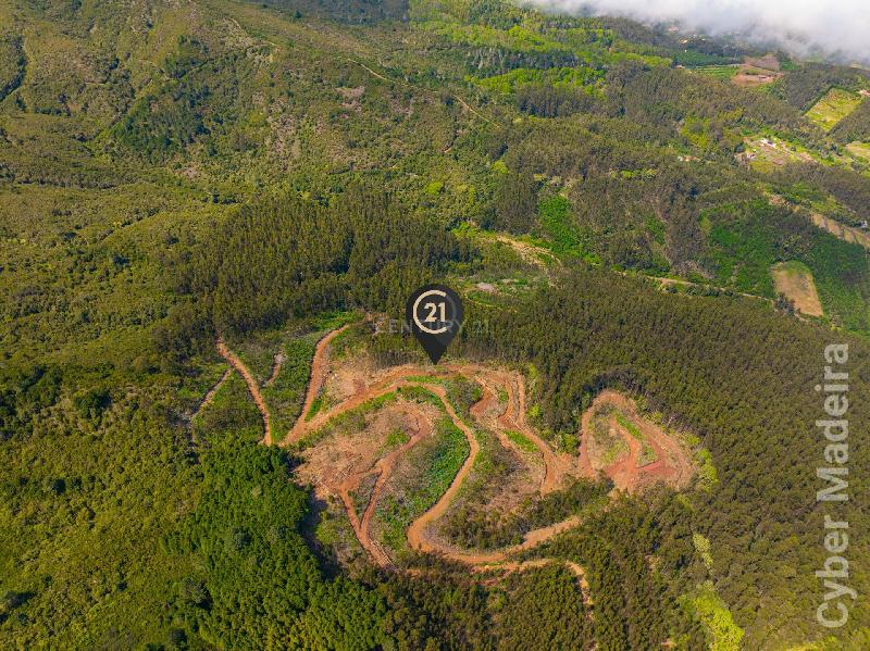 Terreno Outros para Venda Santo António da Serra, Centro