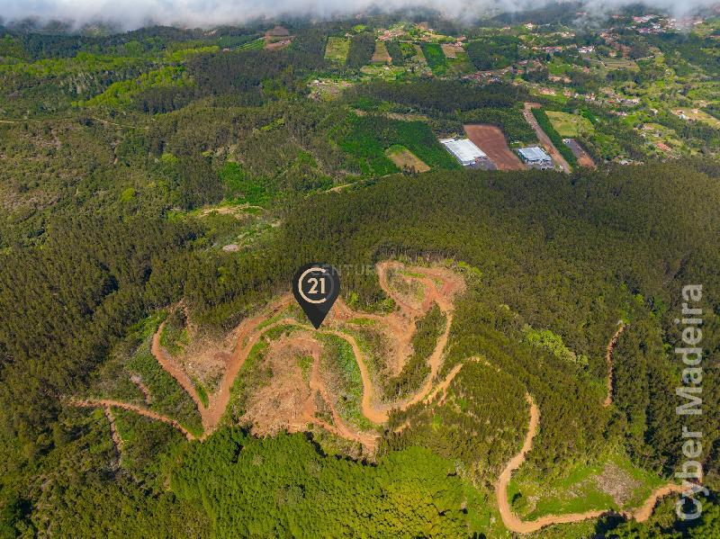 Terreno Outros para Venda Santo António da Serra, Centro