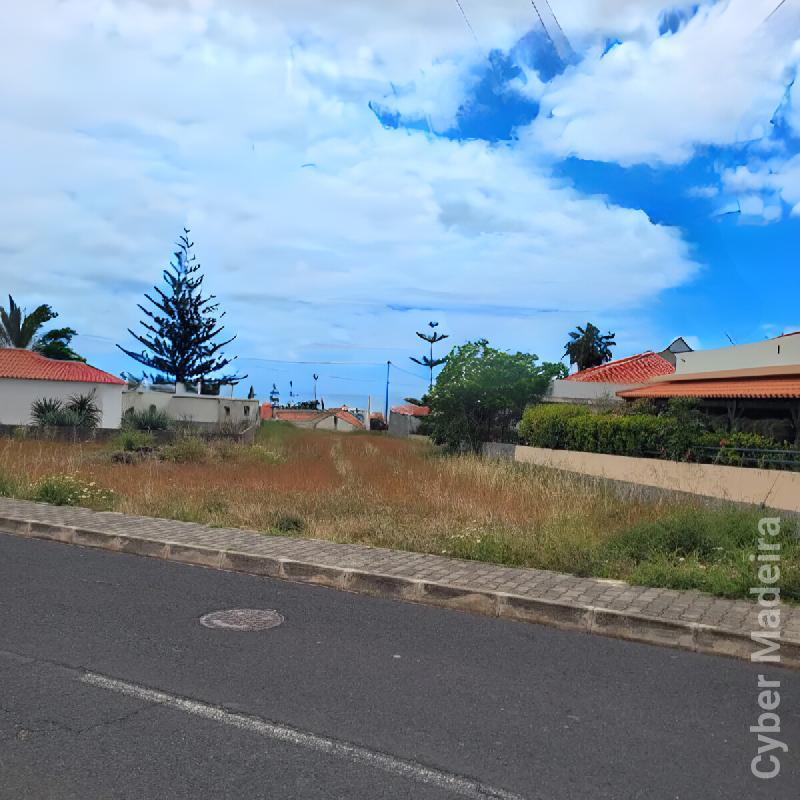Terreno Outros para Venda Porto Santo, Campo de Cima