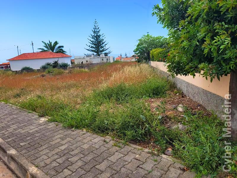 Terreno Outros para Venda Porto Santo, Campo de Cima