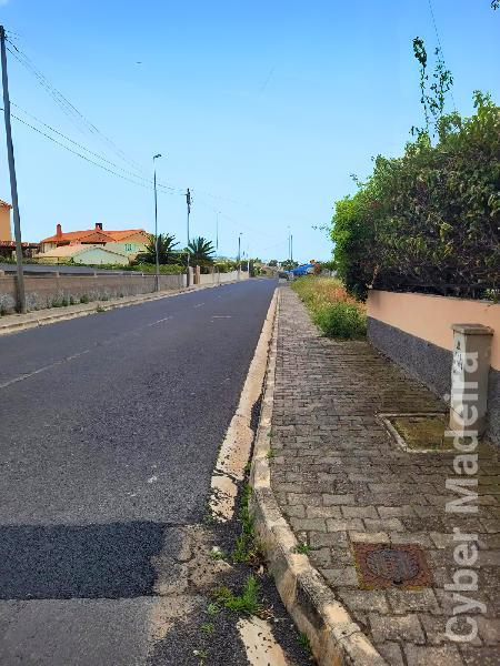 Terreno Outros para Venda Porto Santo, Campo de Cima