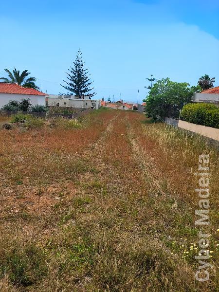 Terreno Outros para Venda Porto Santo, Campo de Cima