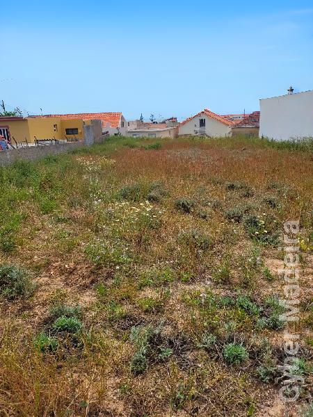 Terreno Outros para Venda Porto Santo, Campo de Cima