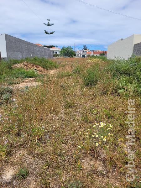 Terreno Outros para Venda Porto Santo, Campo de Cima