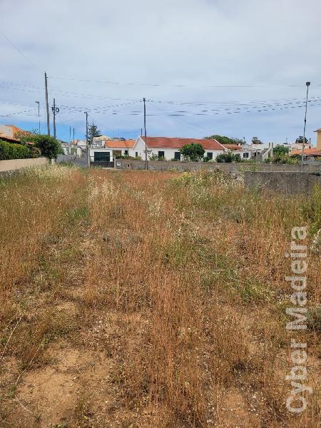 Terreno Outros para Venda Porto Santo, Campo de Cima