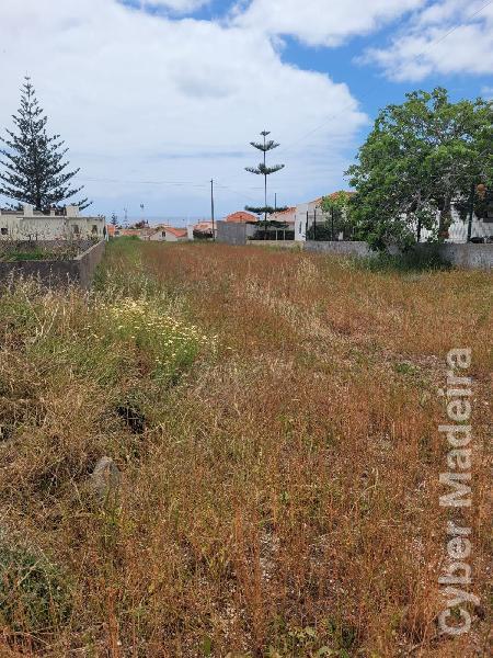 Terreno Outros para Venda Porto Santo, Campo de Cima