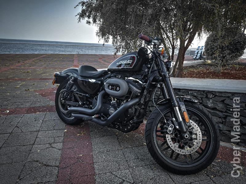 Harley Davidson 34 1.200 cc Sport, turismo