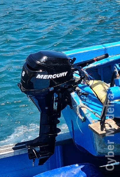 Motor Mercury 8 Hp Arranque Elétrico e Manual