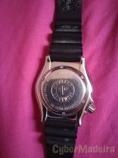 Citizen promaster
