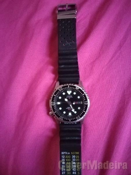 Citizen promaster