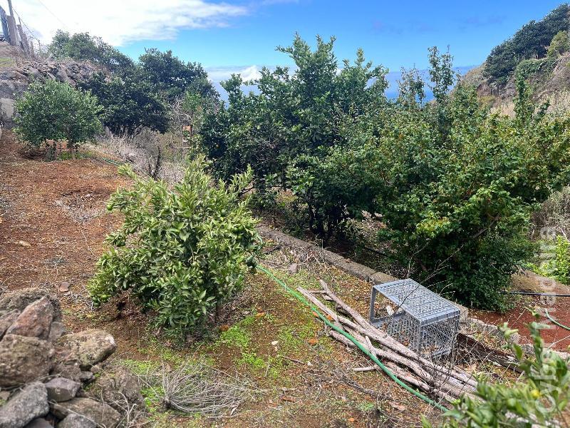 Terreno T0 para Venda Fajã da Ovelha, Fajã da Ovelha