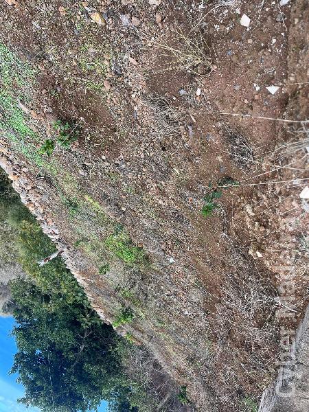 Terreno T0 para Venda Fajã da Ovelha, Fajã da Ovelha