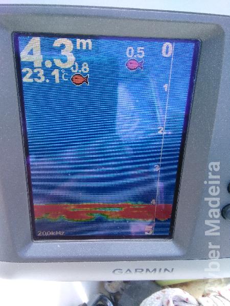 Barco Fibromar  4.3 m  Honda 20hp 2017 150 hrs