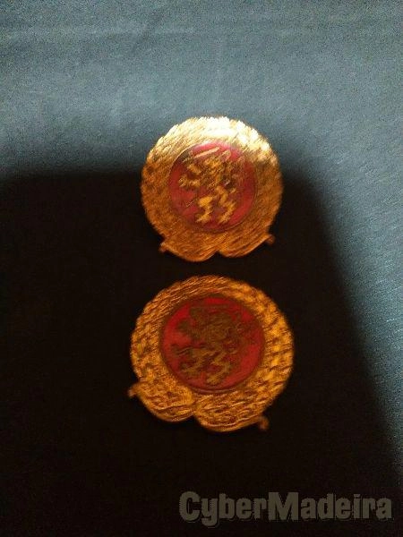 Pins do Exército