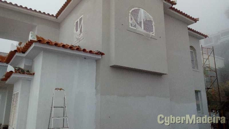 Pintor anibal