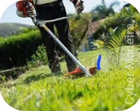 Limpeza de terrenos com roçadora
