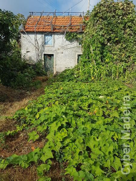 Moradia T2 para Venda Estreito da Calheta, Girão