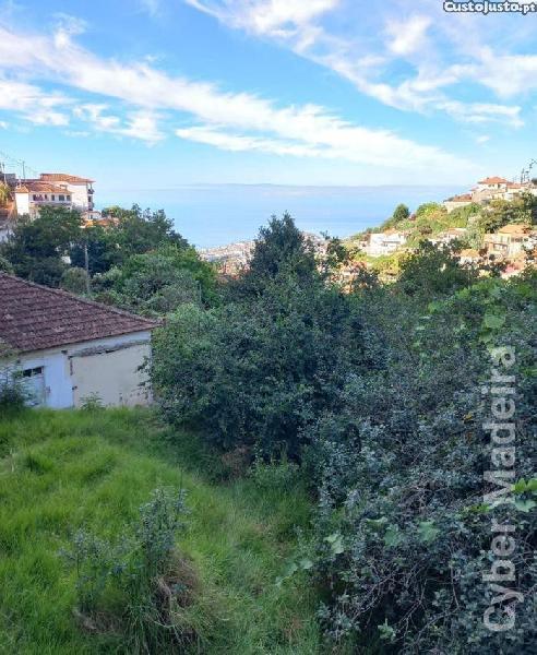 Terreno T3 para Venda Monte, Corujeira