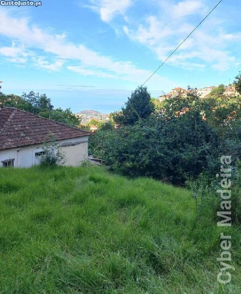 Terreno T3 para Venda Monte, Corujeira