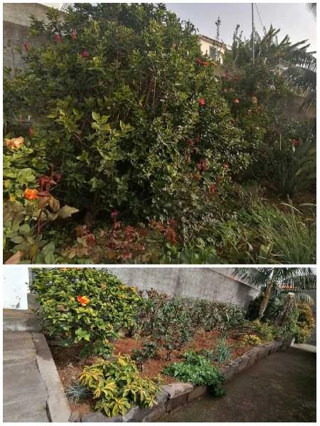 Serviços Jardinagem