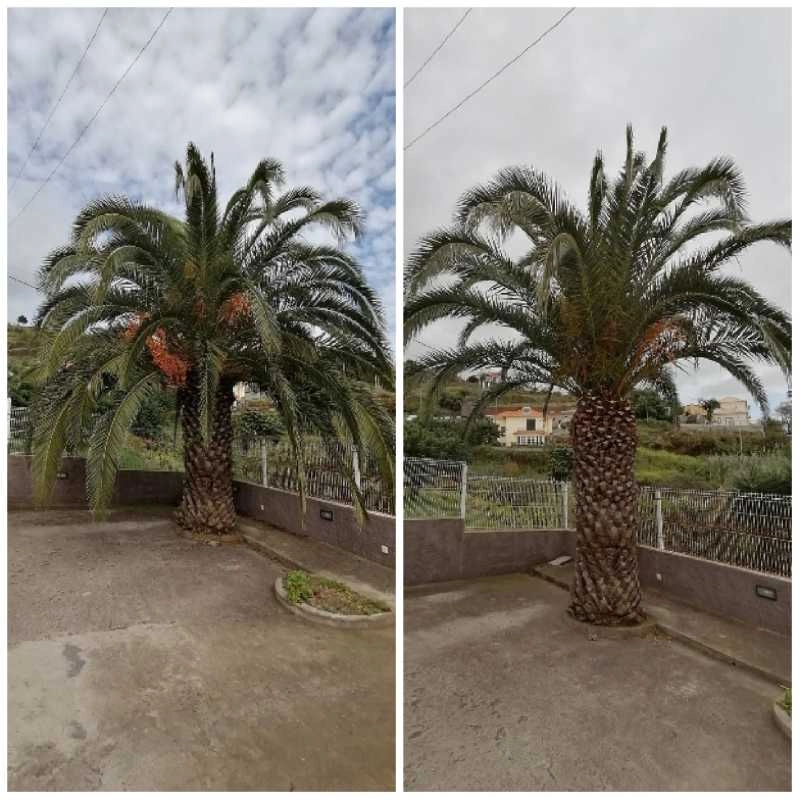 Serviços Jardinagem