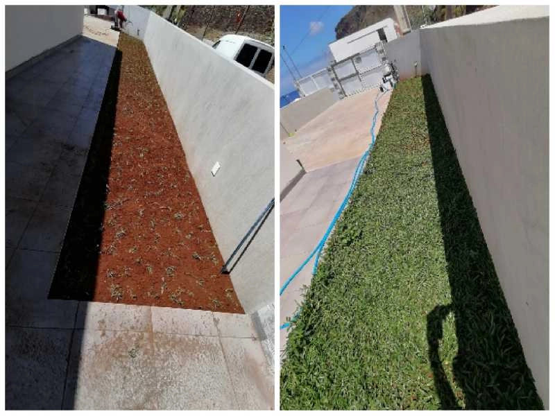 Serviços Jardinagem