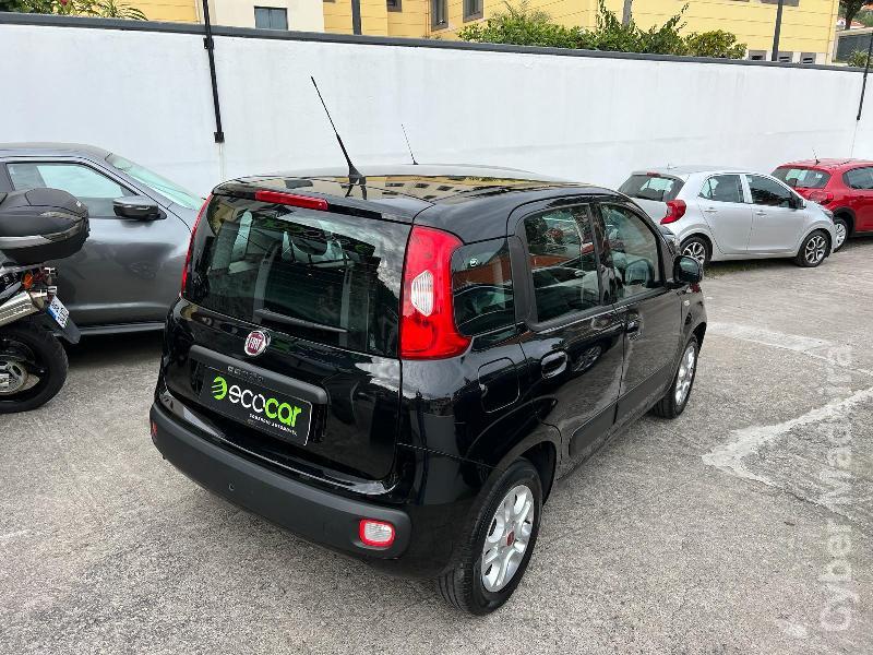 FIAT PANDA 1.2 Lounge 69 CV Gasolina