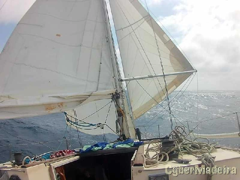 Sun shine 36
