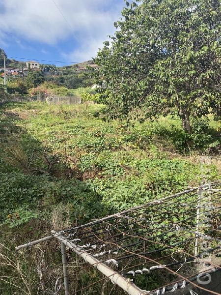 Terreno Outros para Venda Campanário, Centro
