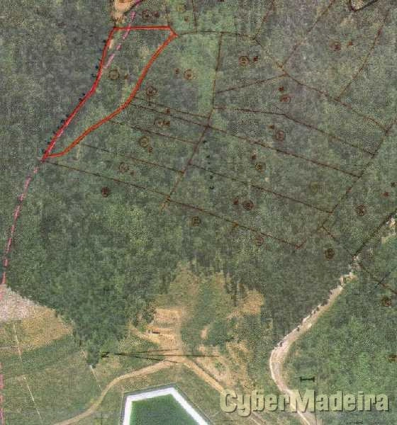 Terreno Outros para Venda Camacha, Cerquinha