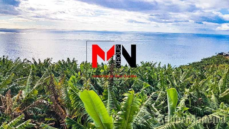 Terreno Outros para Venda Ribeira Brava, Meia Légua