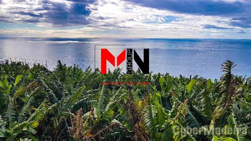 Terreno Outros para Venda Ribeira Brava, Meia Légua