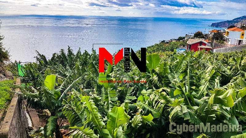 Terreno Outros para Venda Ribeira Brava, Meia Légua