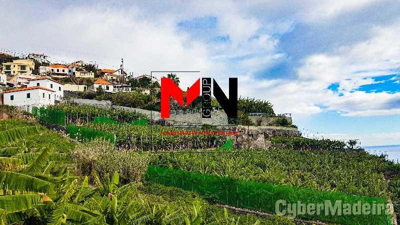 Terreno Outros para Venda Ribeira Brava, Meia Légua