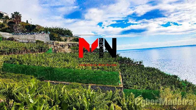 Terreno Outros para Venda Ribeira Brava, Meia Légua