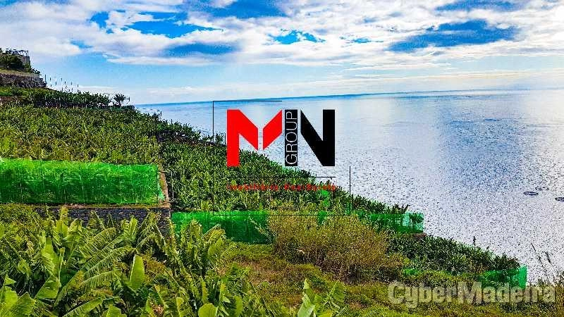 Terreno Outros para Venda Ribeira Brava, Meia Légua