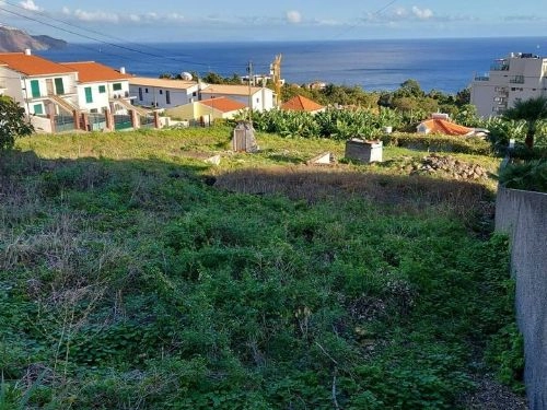 Terreno Outros para Venda São Martinho, Casa Branca