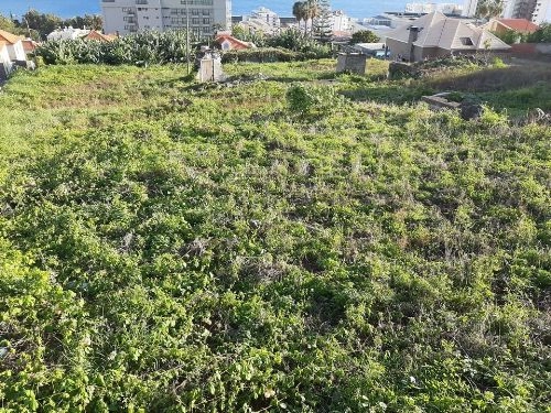 Terreno Outros para Venda São Martinho, Casa Branca
