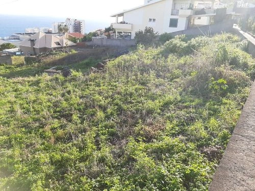 Terreno Outros para Venda São Martinho, Casa Branca