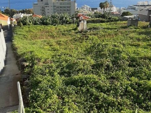 Terreno Outros para Venda São Martinho, Casa Branca