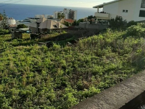 Terreno Outros para Venda São Martinho, Casa Branca