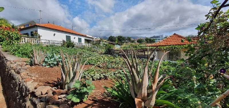 Terreno Outros para Venda São Martinho, Centro