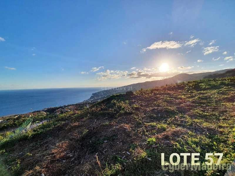 Terreno Outros para Venda Santa Cruz, Eira Nova