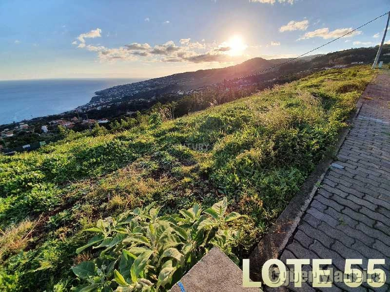 Terreno Outros para Venda Santa Cruz, Eira Nova