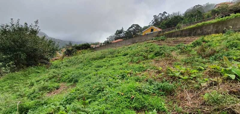Terreno Outros para Venda Santo António da Serra, Ribeira de Machico