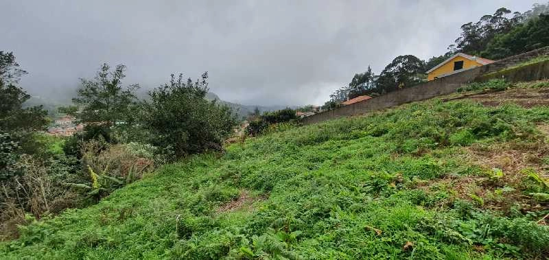 Terreno Outros para Venda Santo António da Serra, Ribeira de Machico
