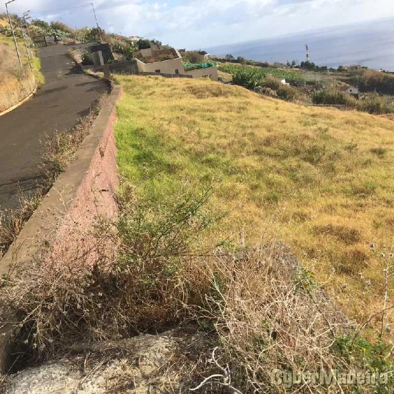 Terreno T0 para Venda Fajã da Ovelha, Fajã da Ovelha